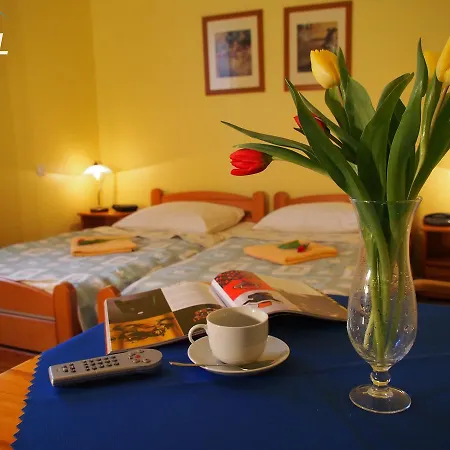 Bed & Breakfast Olimp Retro